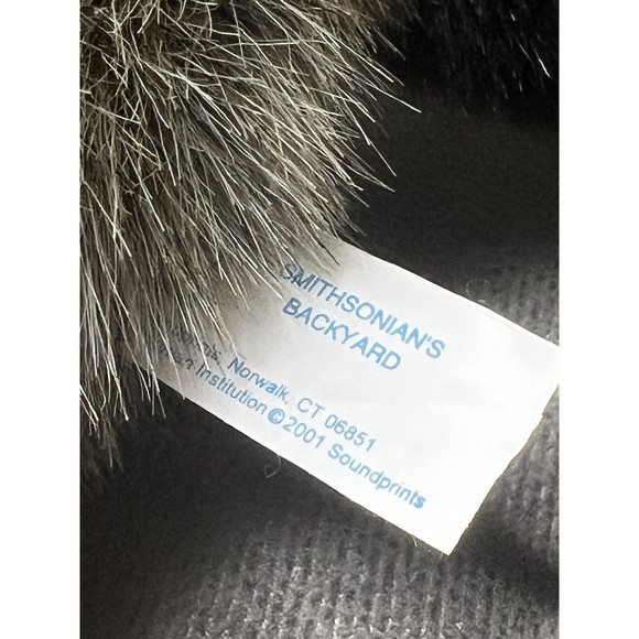 Raccoon Plush Mama Baby Smithsonians Backyard Soundprints Stuffed Animal Toy Lot - Picture 13 of 16